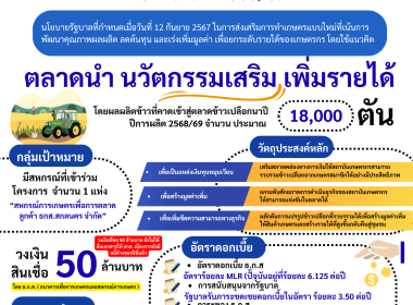 อินโฟกราฟิก ปี 2569 พารามิเตอร์รูปภาพ 3